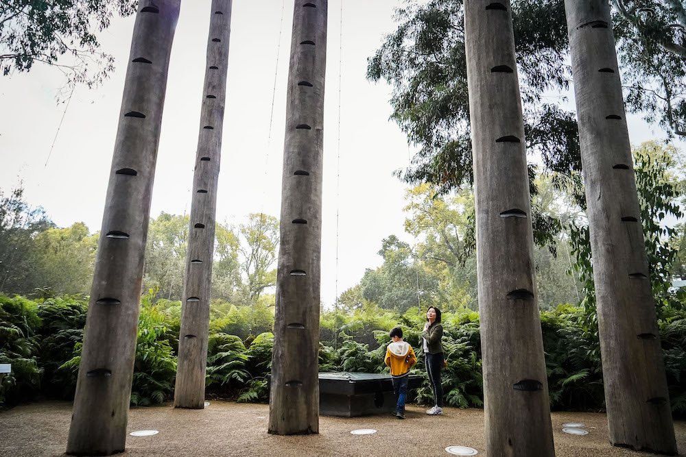 Baby . and Joyce stand amongst the giant trees in the forest