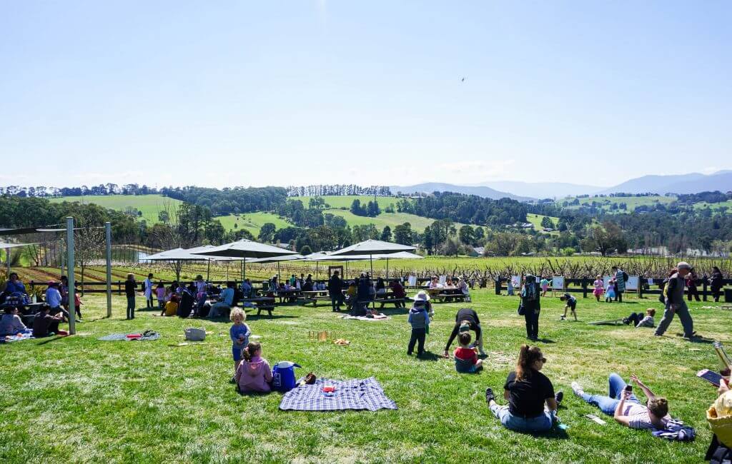 blossom festival yarra valley