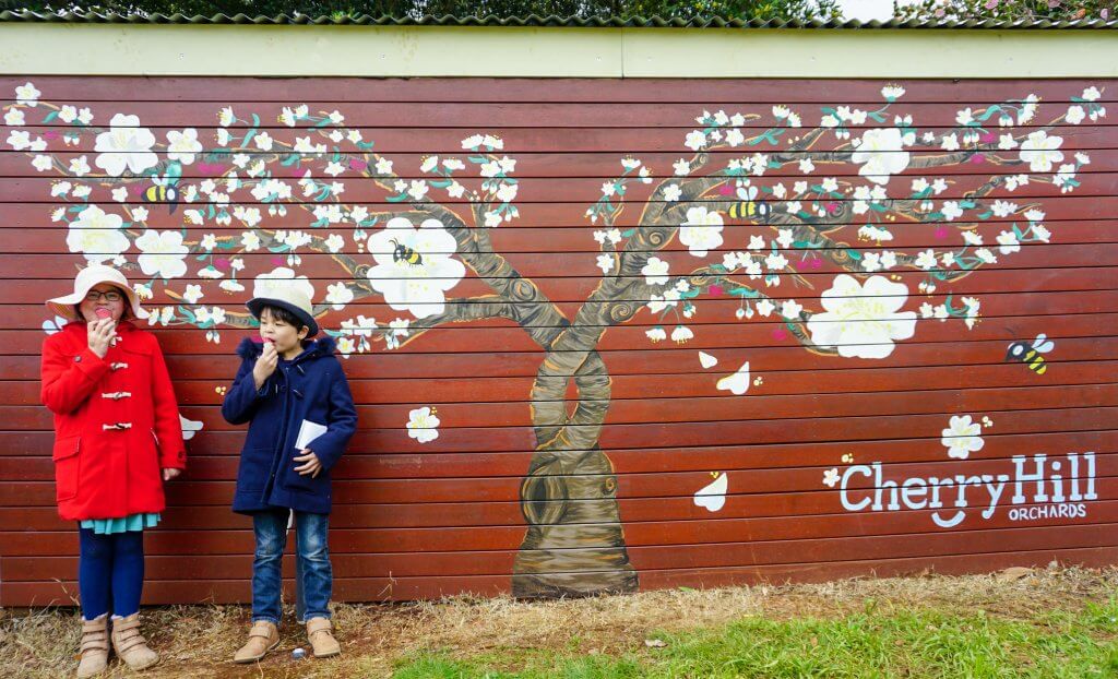 Blossom Festival Cherryhill Orchards 5