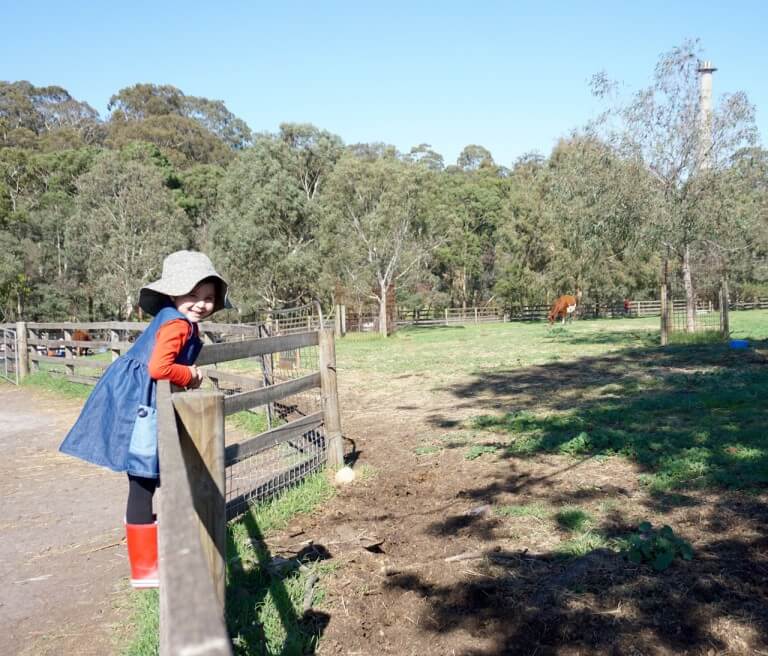 Collingwood Children's Farm, 18 St Heliers St, Abbotsford