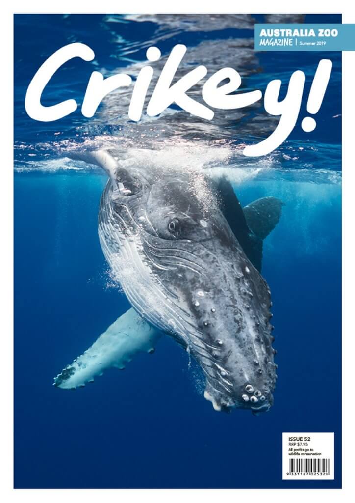 Crikey Magazine