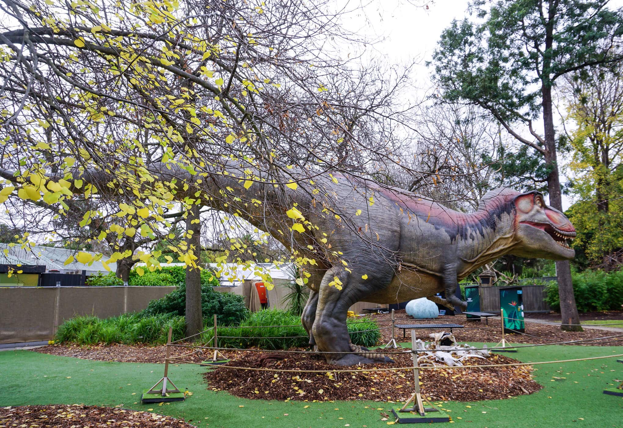 HOT: Dino Lab, Melbourne Zoo, Parkville