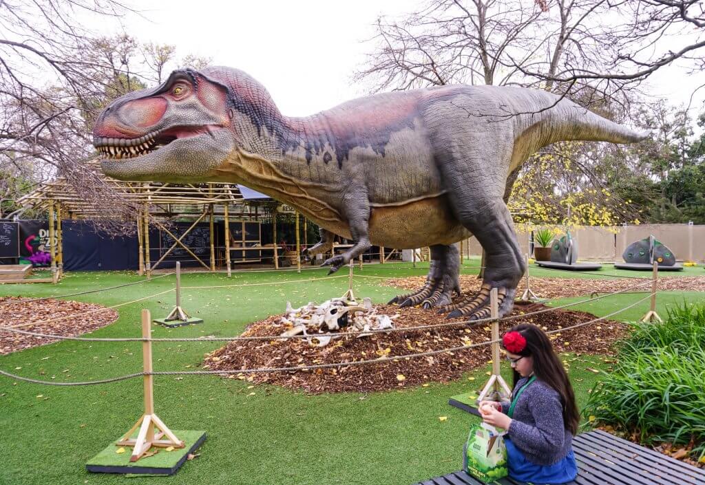 Dino Lab Melbourne Zoo 18