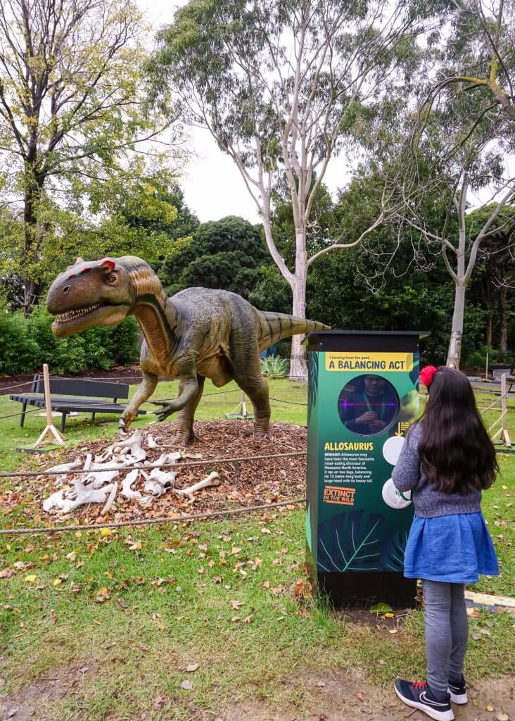 Dino Lab Melbourne Zoo 20