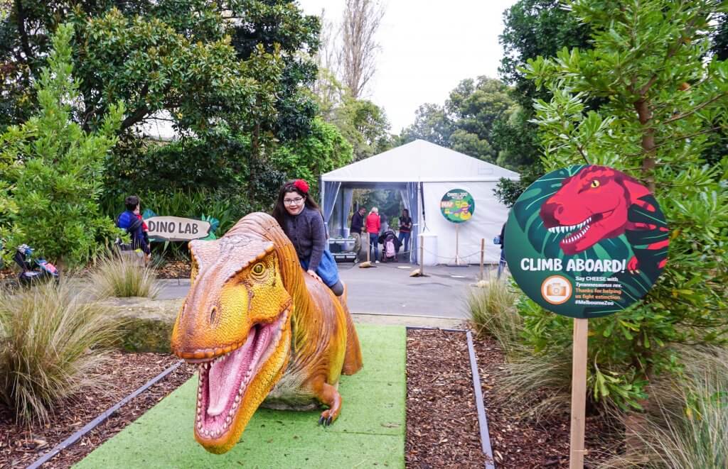 Dino Lab Melbourne Zoo 29