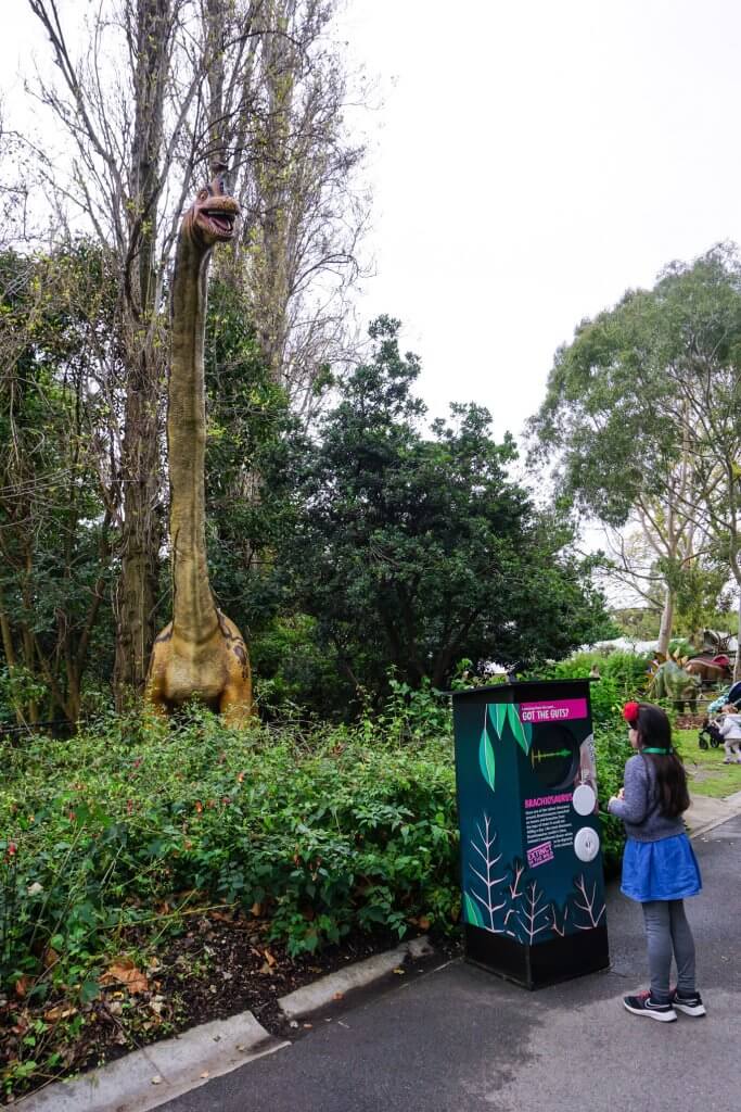 Dino Lab Melbourne Zoo 3