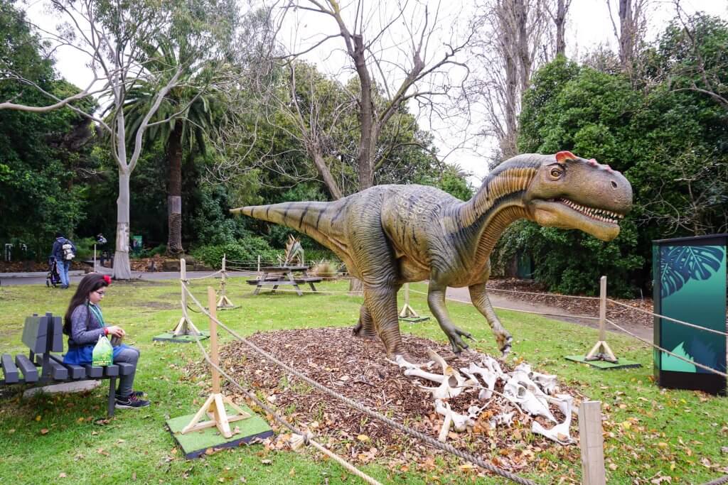 Dino Lab Melbourne Zoo 6