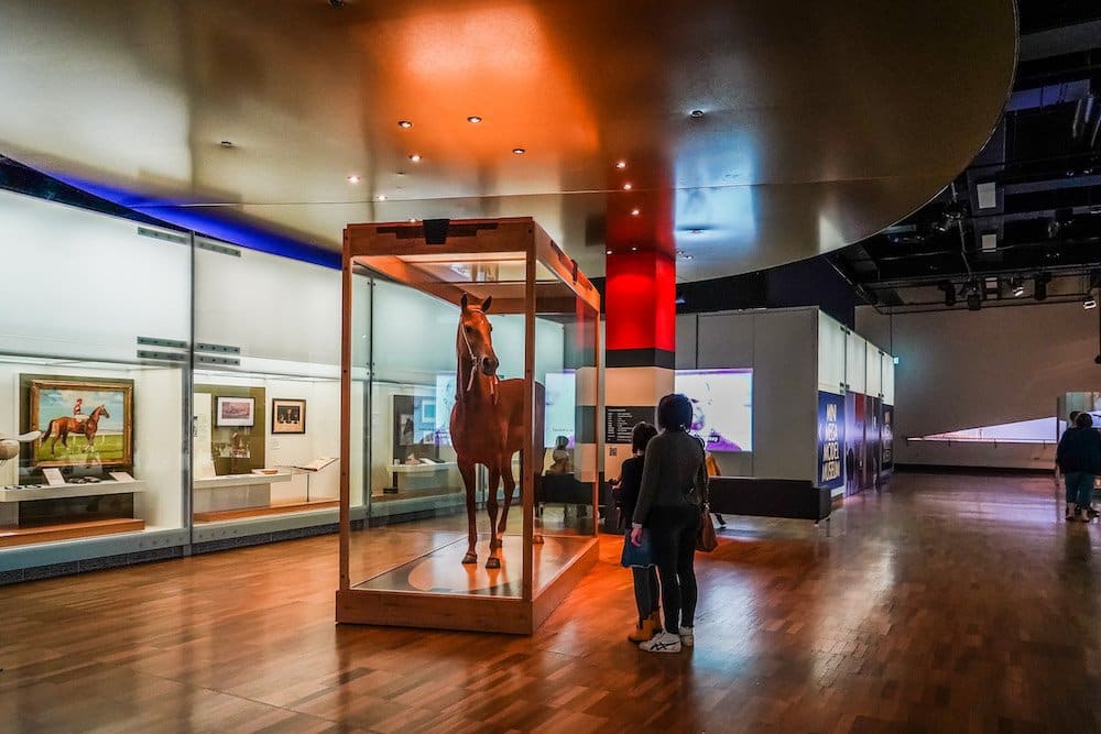 Phar Lap is encased in glass in the center of his exhibit. 