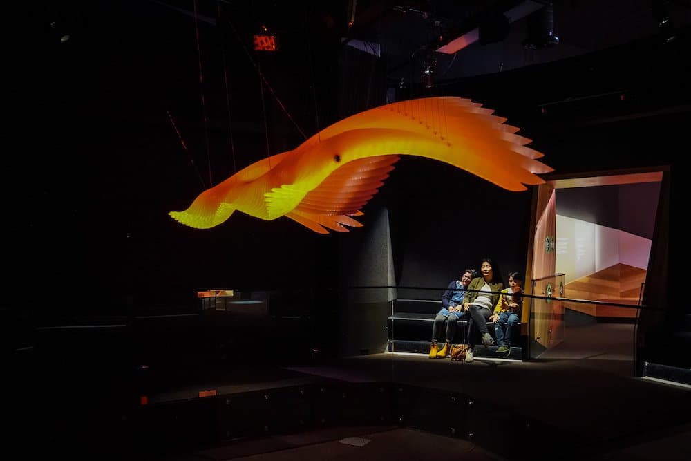 The light projections transition from yellow to orange on the floating bird’s beautiful wings.