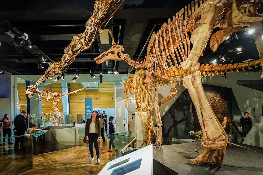 A giant dinosaur is displayed inside Dinosaur Walk