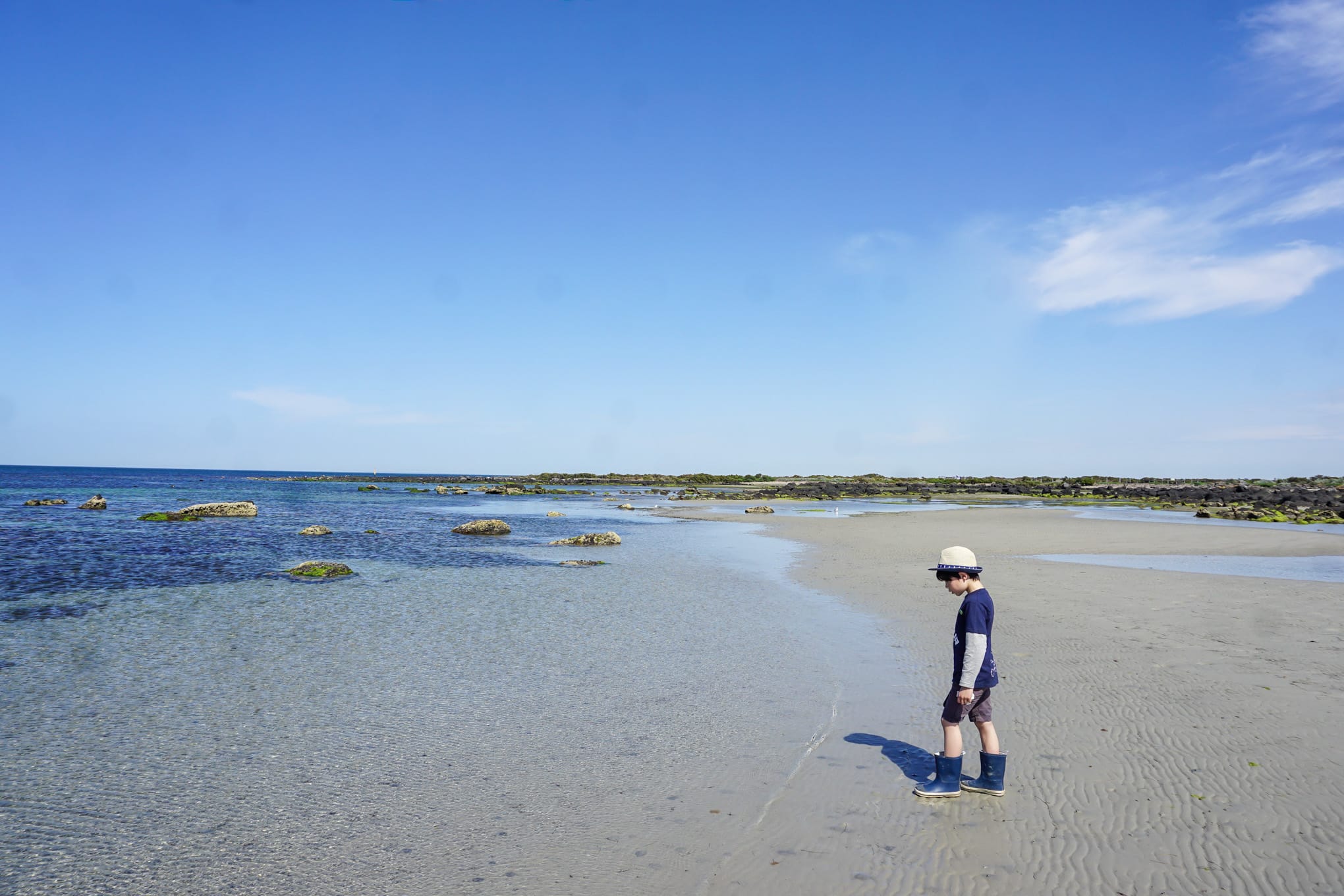 Jawbone Sanctuary Williamstown