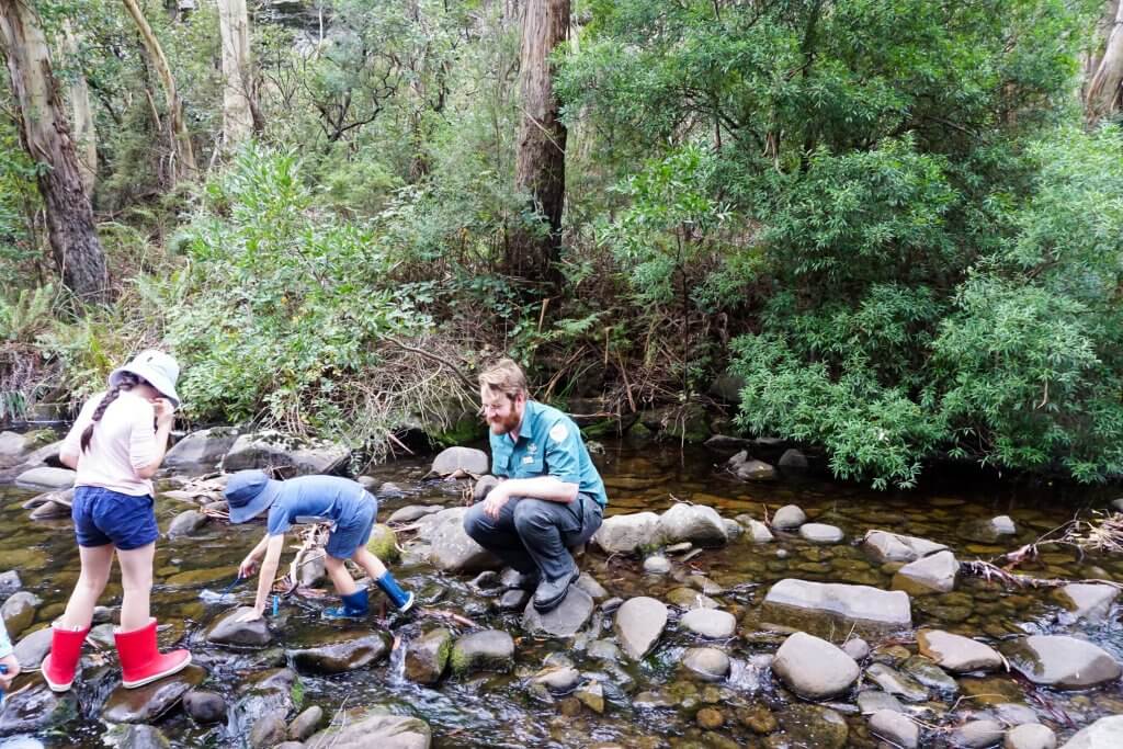 Junior Rangers Parks Victoria