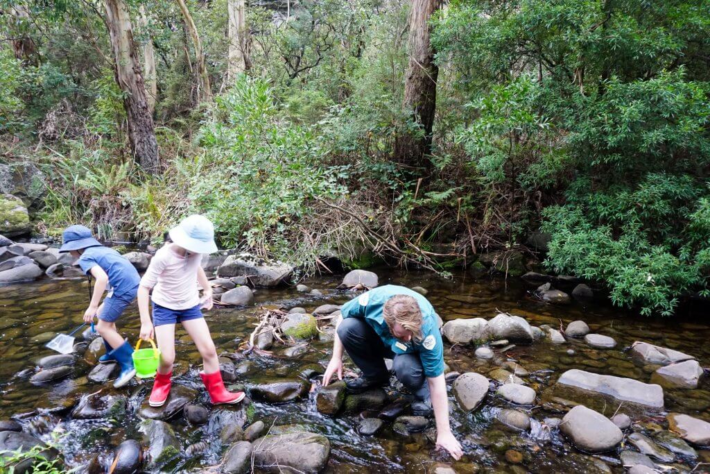 Junior Rangers Parks Victoria