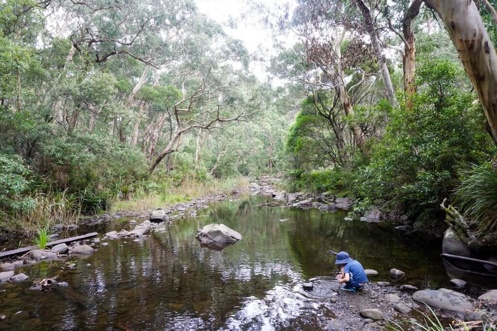 Junior Rangers Parks Victoria