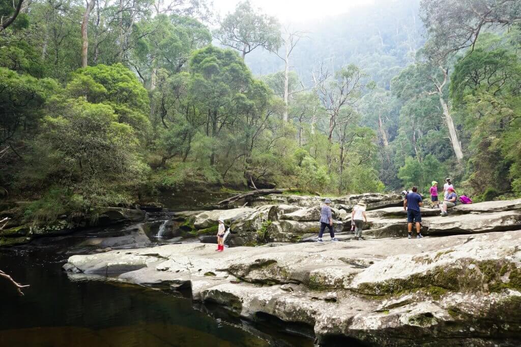 Jebb's Pool Cumberland River Great Otway National Park