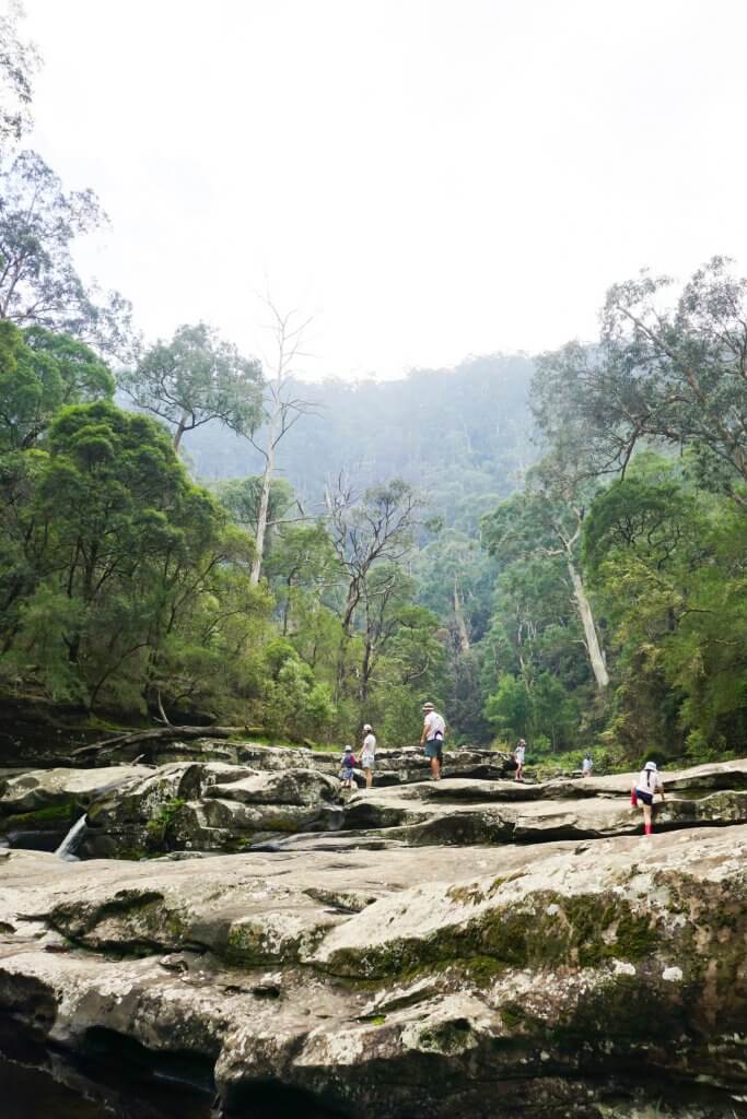 Jebb's Pool Cumberland River Great Otway National Park