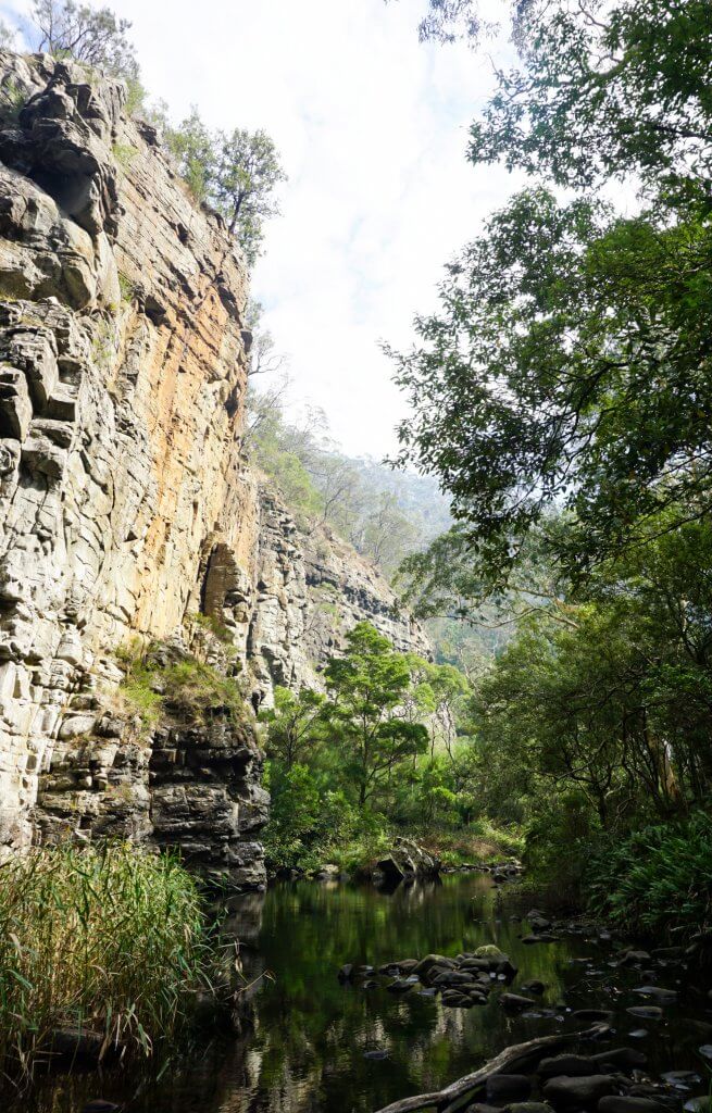 Cumberland River Great Otway National Park