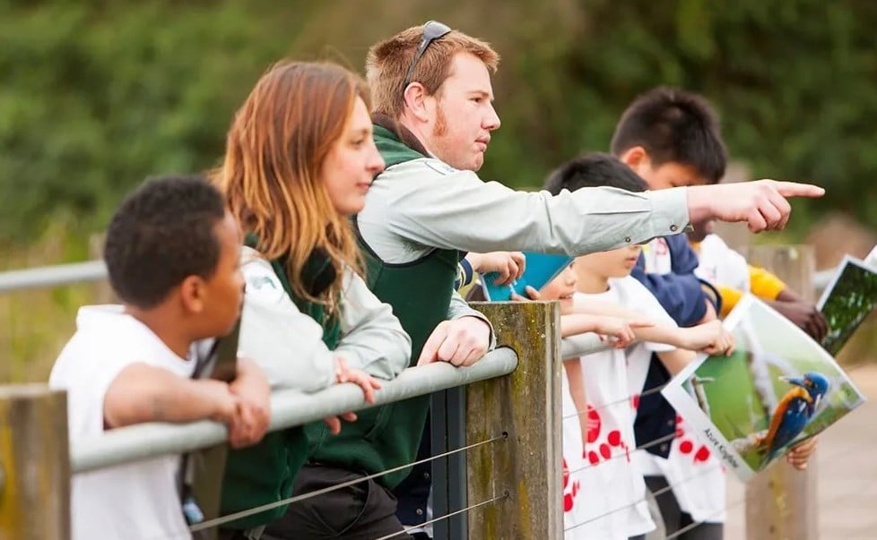 Junior Rangers in action