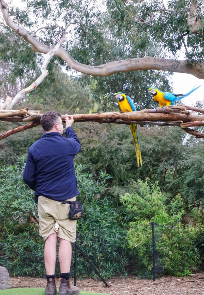 Keeper Care Hub Melbourne Zoo 3