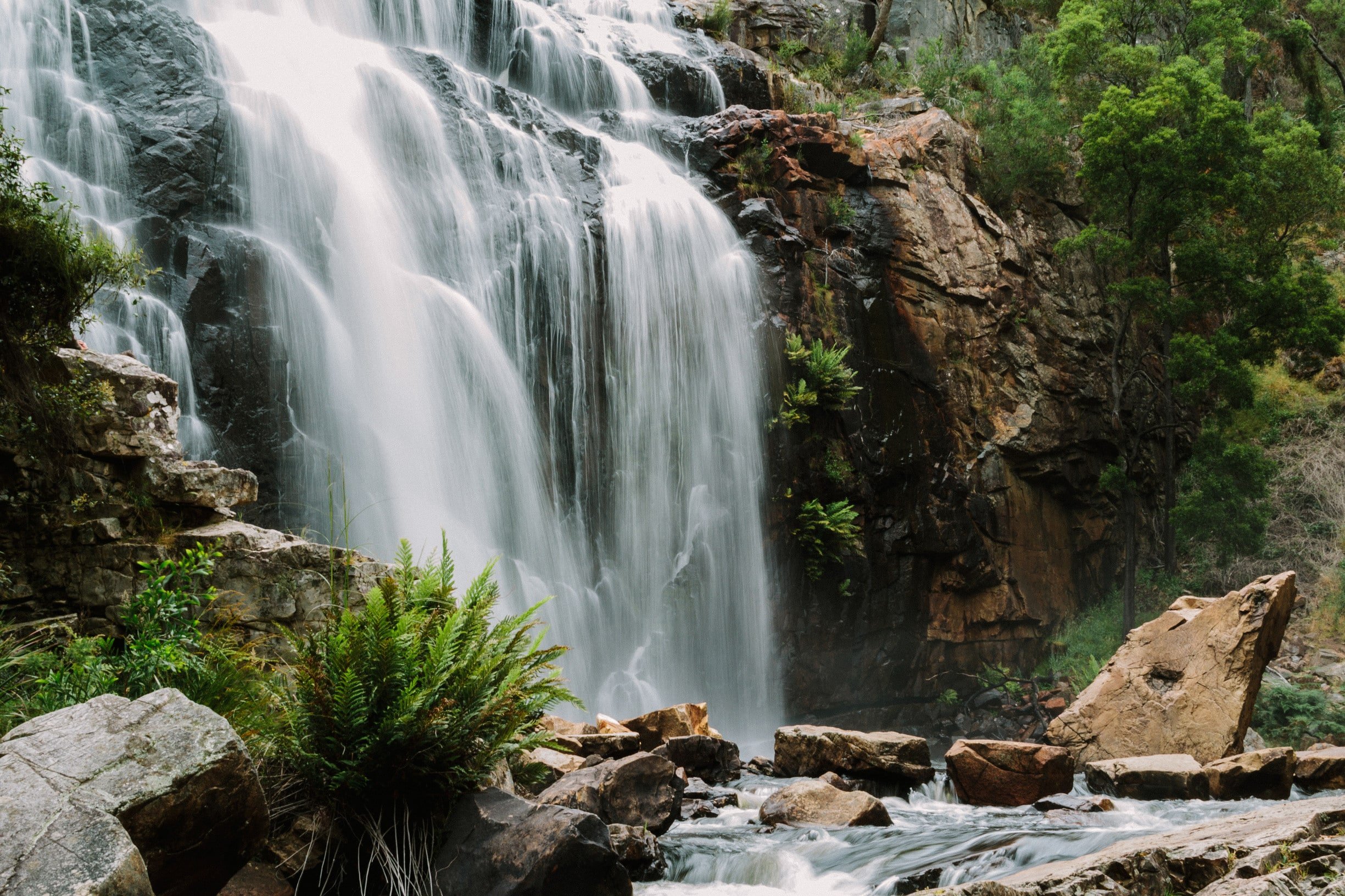 30 Best Waterfalls in Victoria for Your Next Waterfall Hike