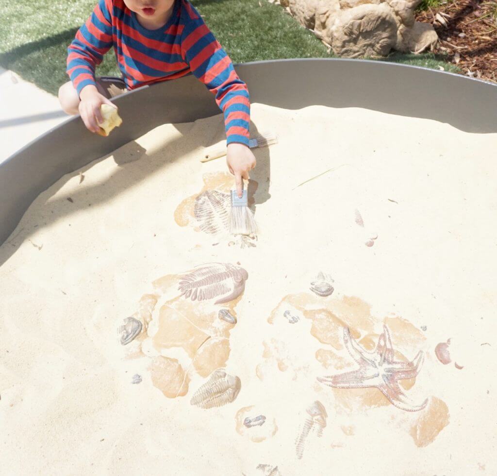 Melbourne Museum Children's Gallery