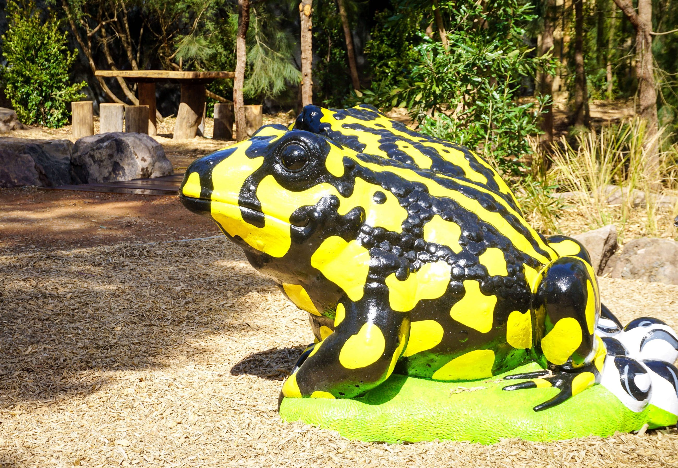 Nature Play Healesville Sanctuary 2 2