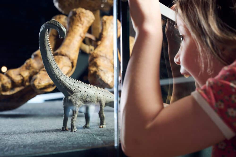 Playbound Tiny Dinos at Melbourne Museum Source Museums Victoria Photo Eugene Hyland