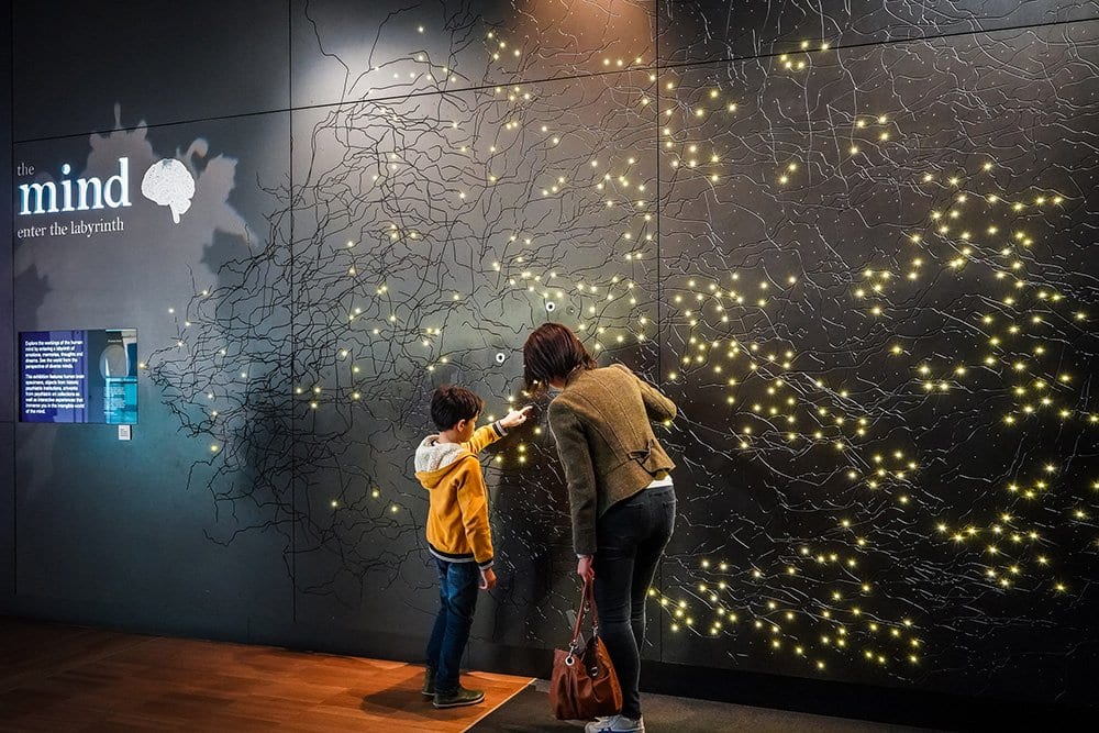 In the entrance to the exhibit, the wall is filled with overlapping lines and little dots that light up imitating brain cells. 