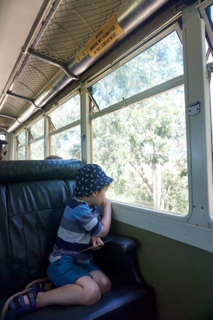 Yarra Vally Railway