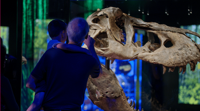 . Victoria the T. rex exhibition is coming to Melbourne Museum. Source Neon Global