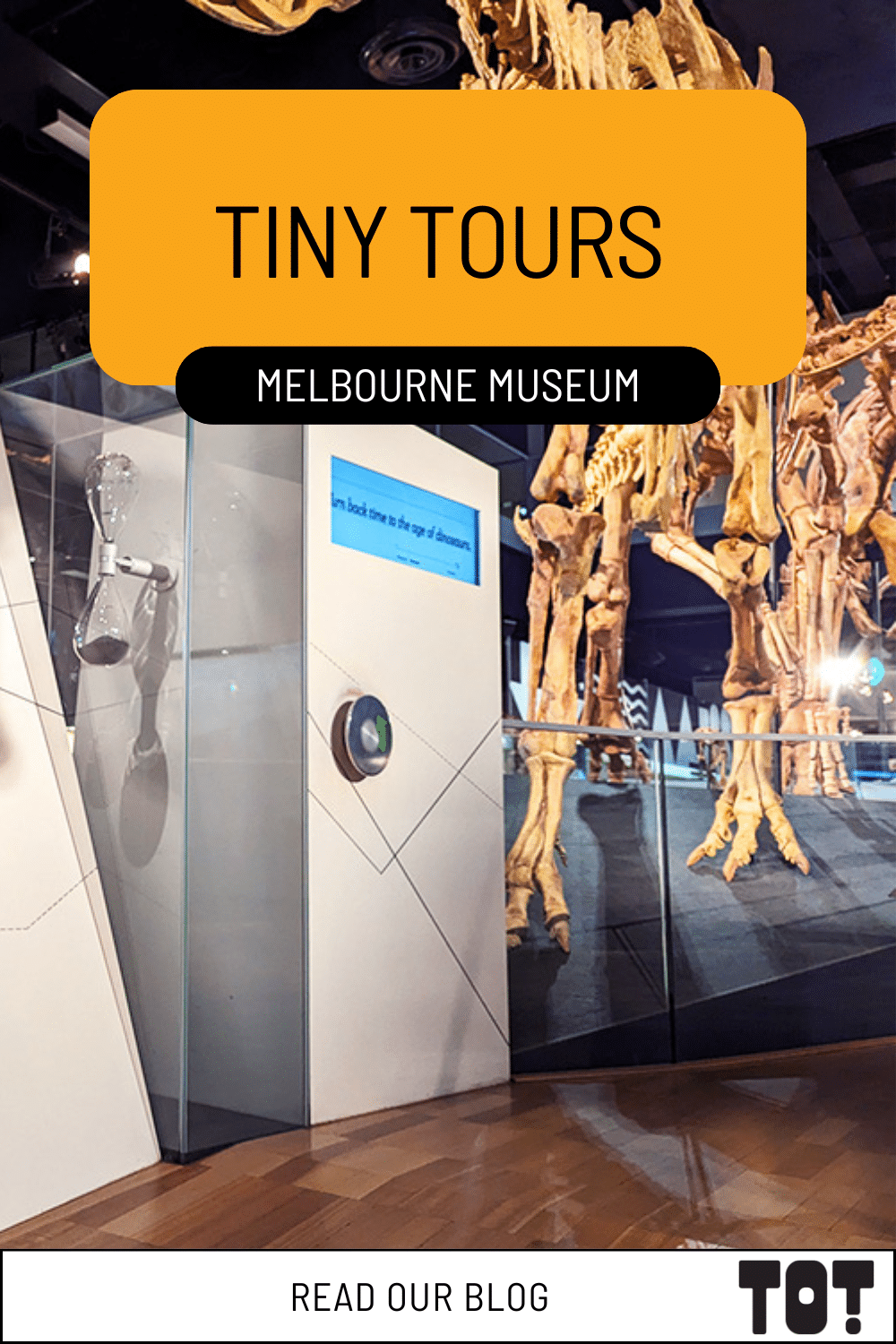 Tiny Tours Melbourne Museum pin